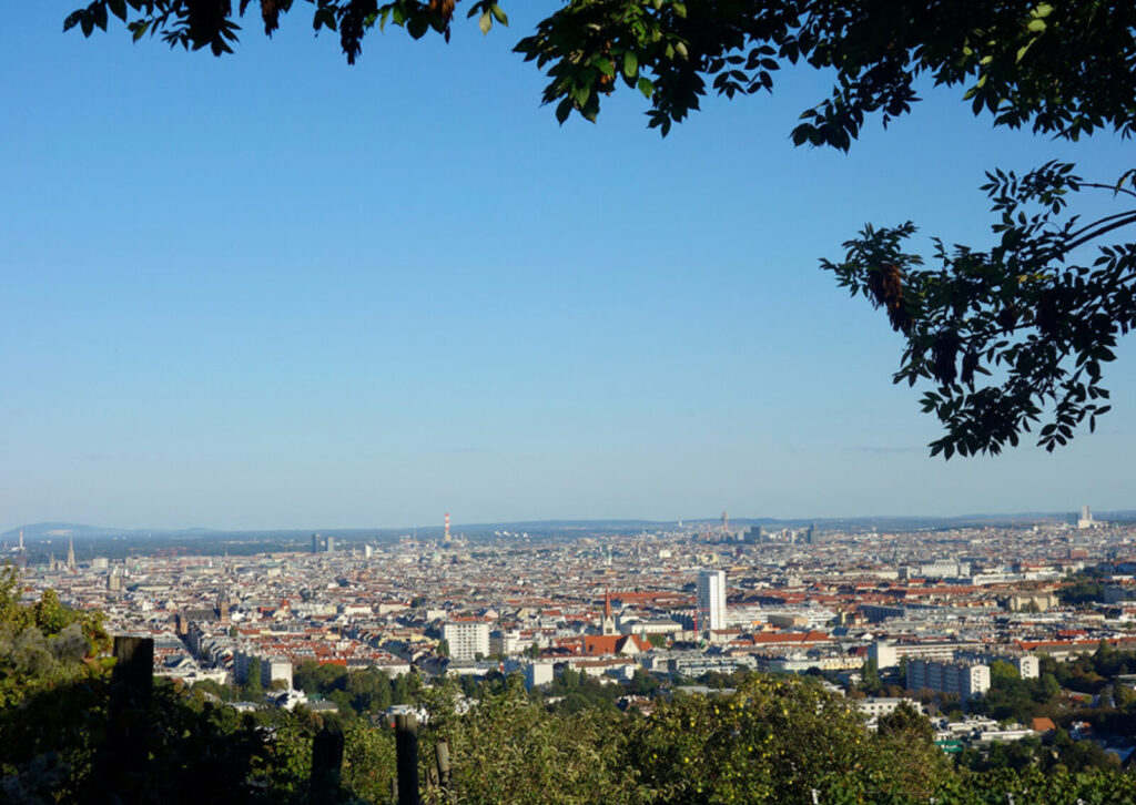 Weitläufige Stadtansicht von Wilhelminenberg mit zahlreichen Gebäuden und vereinzelten hohen Türmen unter klarem Himmel, umrahmt von Baumzweigen im Vordergrund